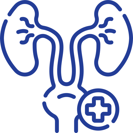 ផ្នែកវះកាត់ម៉ូត្រសាស្ត្រ