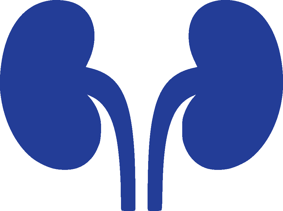 ផ្នែកជំងឺតម្រងនោម និងលាងឈាម